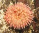 Thumbs/tn_DSechelt 038.jpg